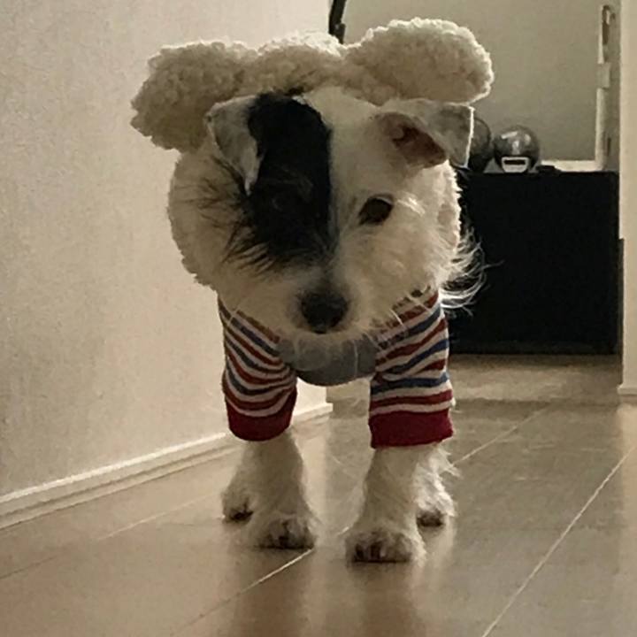 D800d52d 4aa7 4484 8535 5b11e9d7e3cf 1511131296954