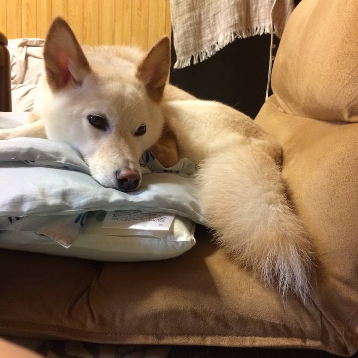 D800d549 d422 40a5 9b9c acd340eeeed0 1562219173902