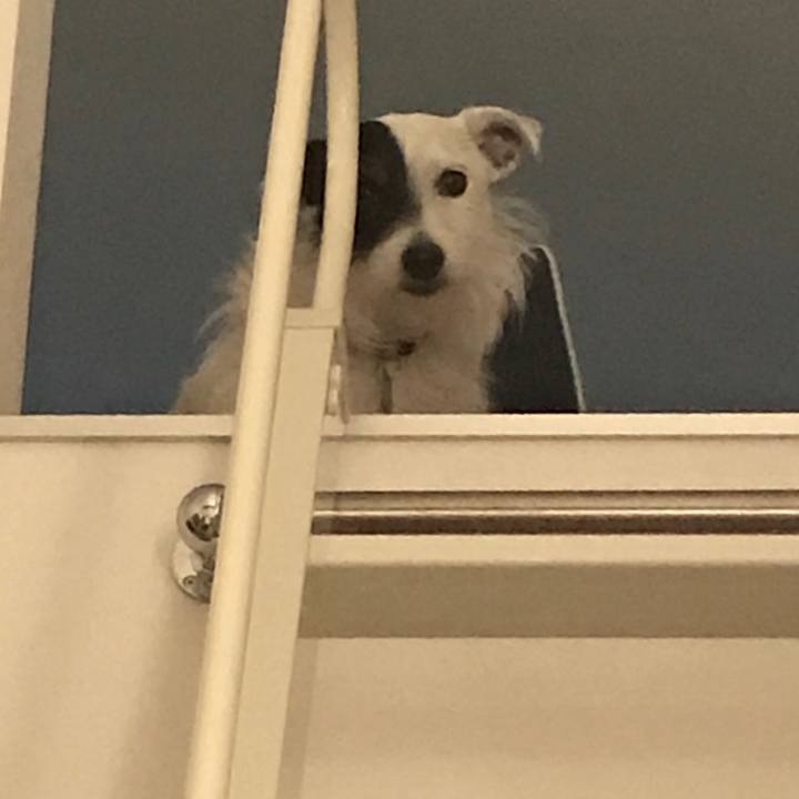 D800e297 e9c7 4a30 be35 6a82429ec5c9 1530195712511