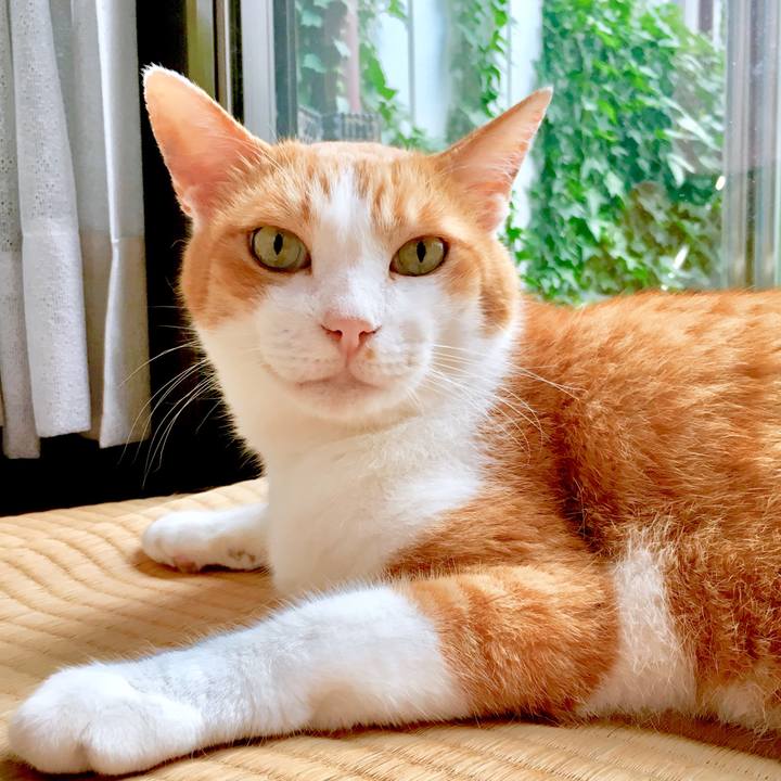 D800edcf b6a5 422e afbb 9ccaaedb25b3 1566011306659