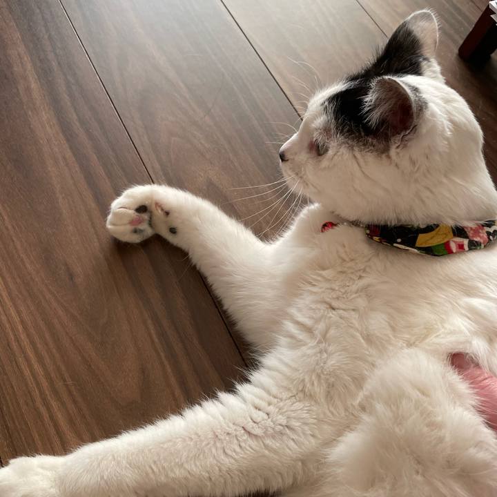 D800f425 a5b0 4297 a07b 3f29a4f0c72f 1647069059885