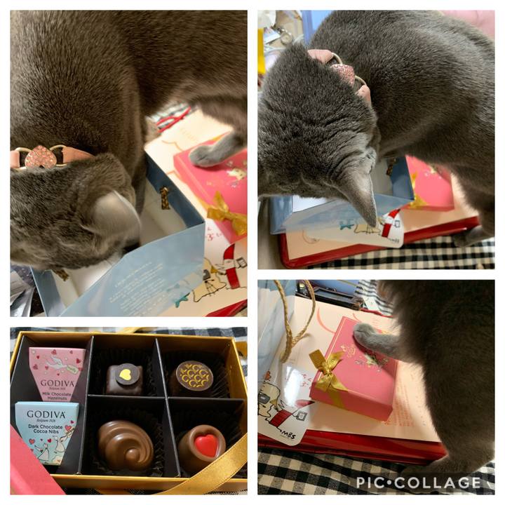 D8010dbe 8e13 4be0 8c98 cc54036616e7 1581574407989