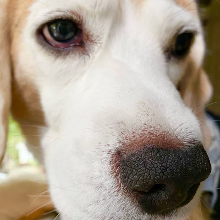 D8011ea9 5022 419e acec 6ee6a1edfefd 1601698561651