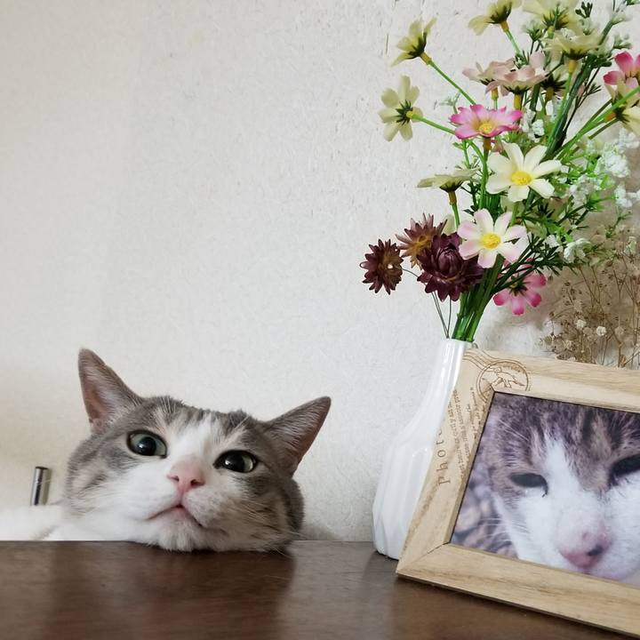 D801277f 949b 46b2 9c20 d8ecfc12d232 1584627609910