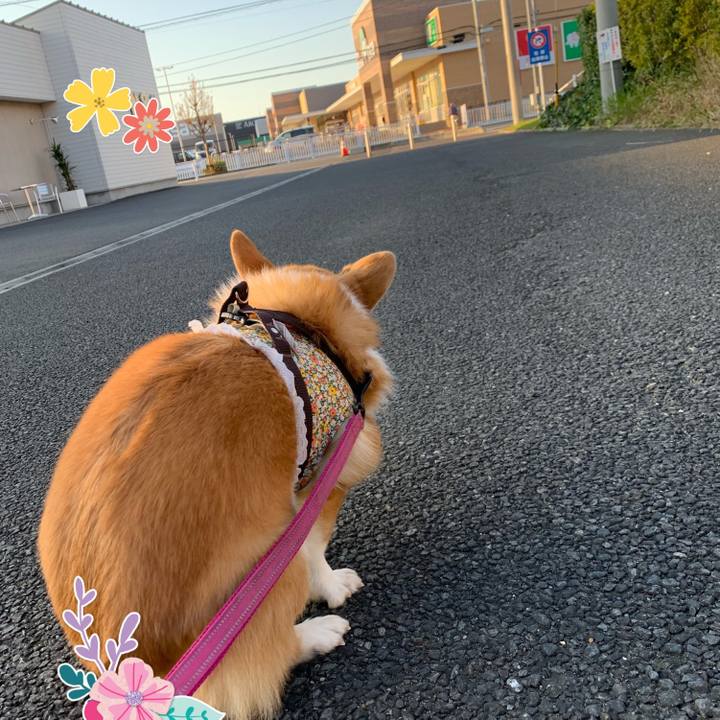 D8012894 96e1 471e 9e56 54afbda34ca3 1574155773193