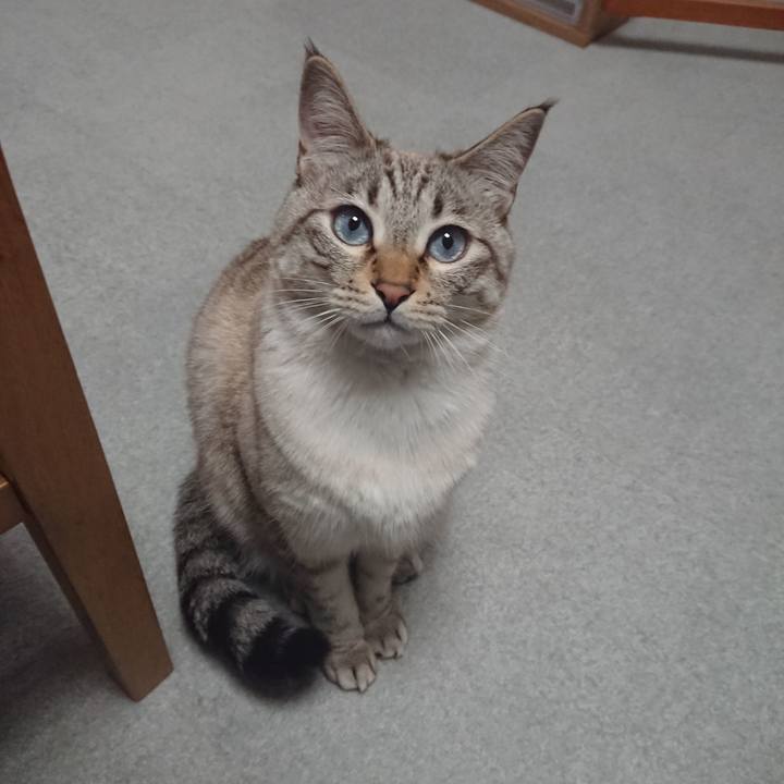 D80139fe 0ebe 4ab5 8adb cab61f2bbc93 1519552132507