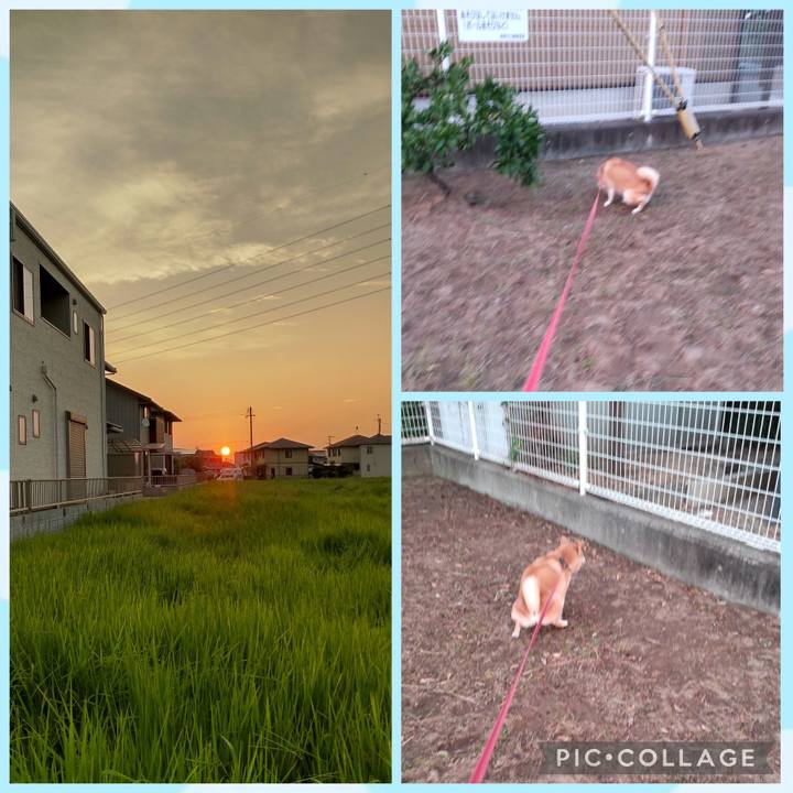 D80153fc 68b2 4de8 9c4c 662e34b41b63 1757283336674