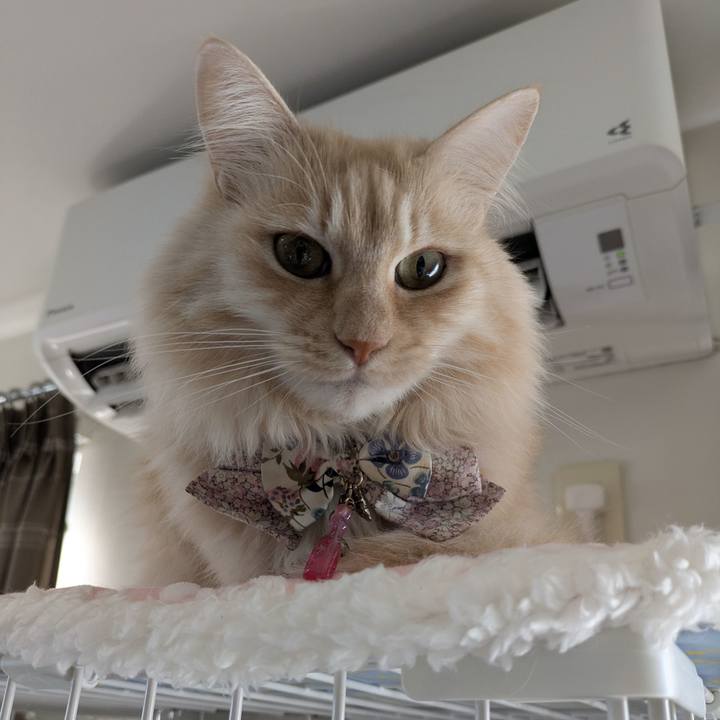 D801c445 459e 4e31 b352 e2b38fe1a128 1767665604014