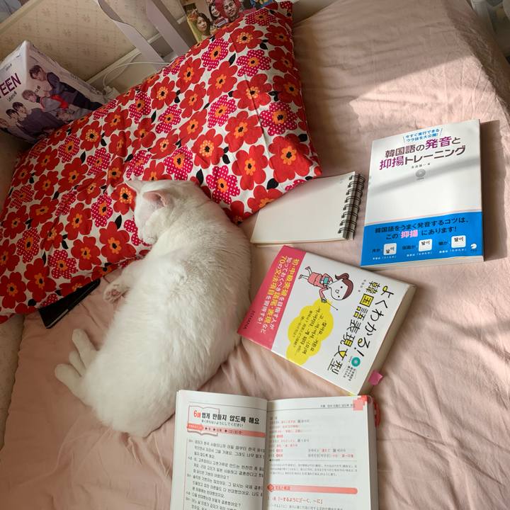 D801cbec 6932 4105 9d7c 9f5f381db2db 1591486104177