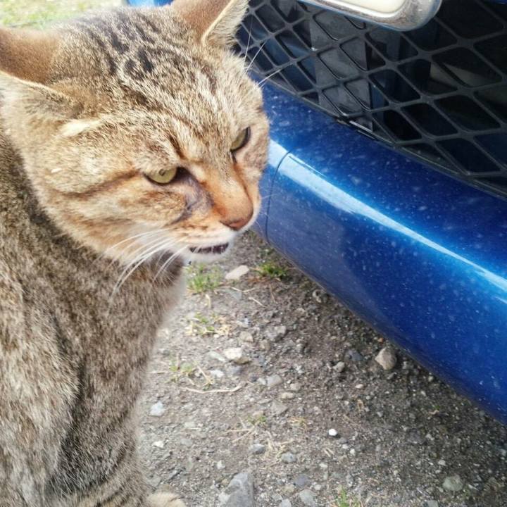 D801d33d 1ef3 44a8 812d 0553728895a7 1520231308681