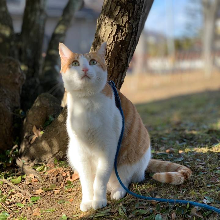 D801edfb 4361 4434 b073 9d06b4b5b844 1579494703581