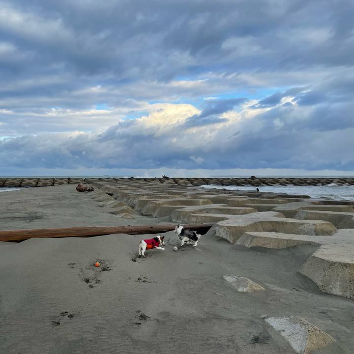 D8020217 f72d 485b b7c4 90af3411a7d9 1670547564609