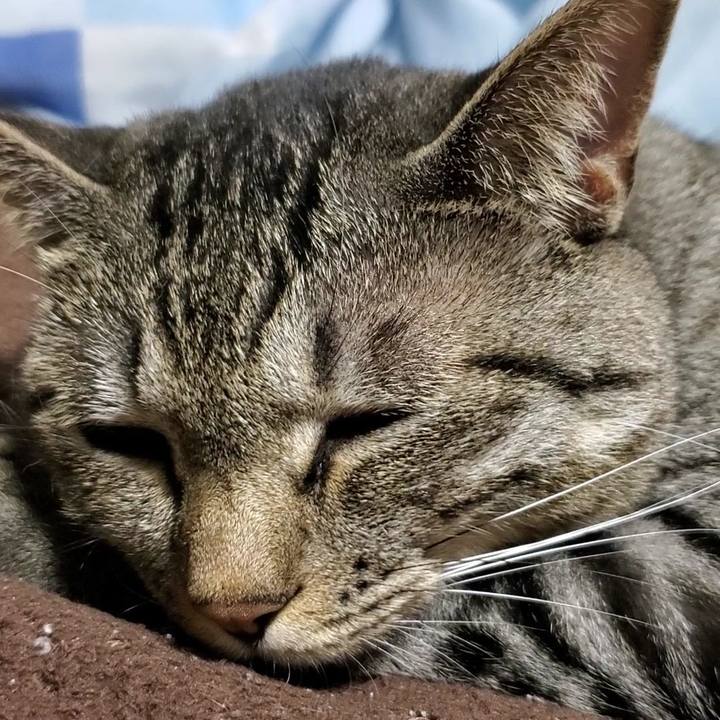 D8020fbb 280d 4060 95d9 a6a72eb74fcd 1722581051157