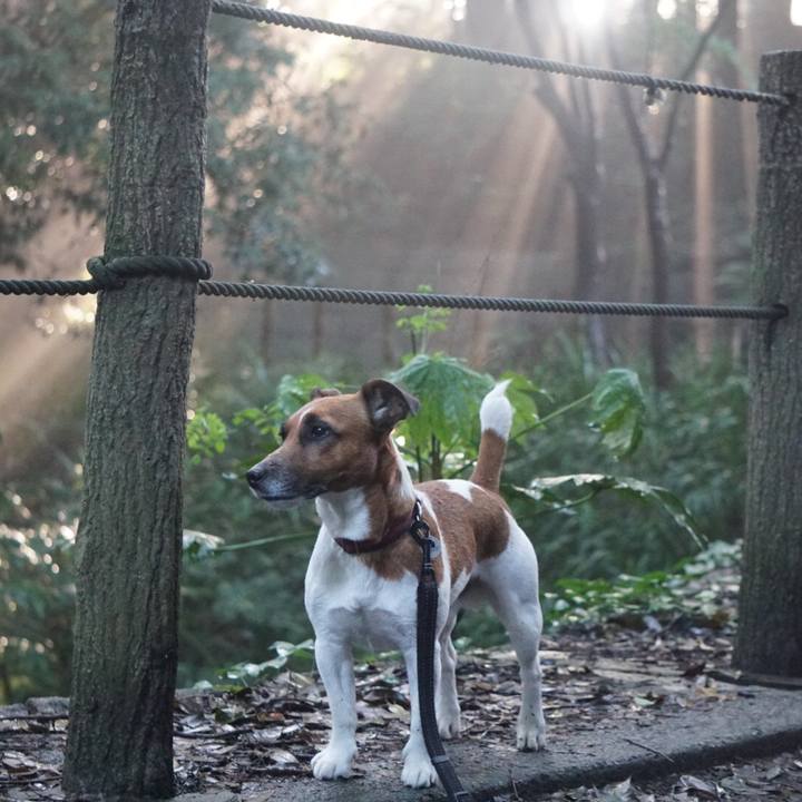 D80225a3 ed79 4eaf 815f fb1a11939e64 1527115820843