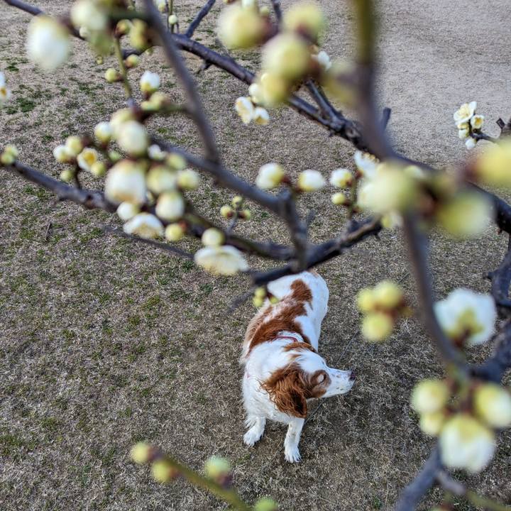 D8022edc a353 4e59 9d86 3aceaf183873 1676449758974