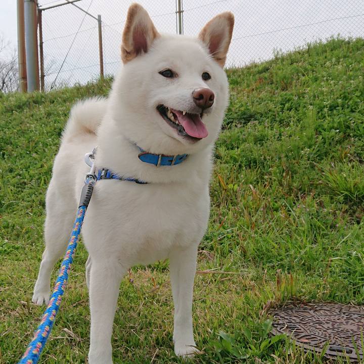 D8023792 e4c8 4f39 8a7d eaa1dee8bb01 1585893921232