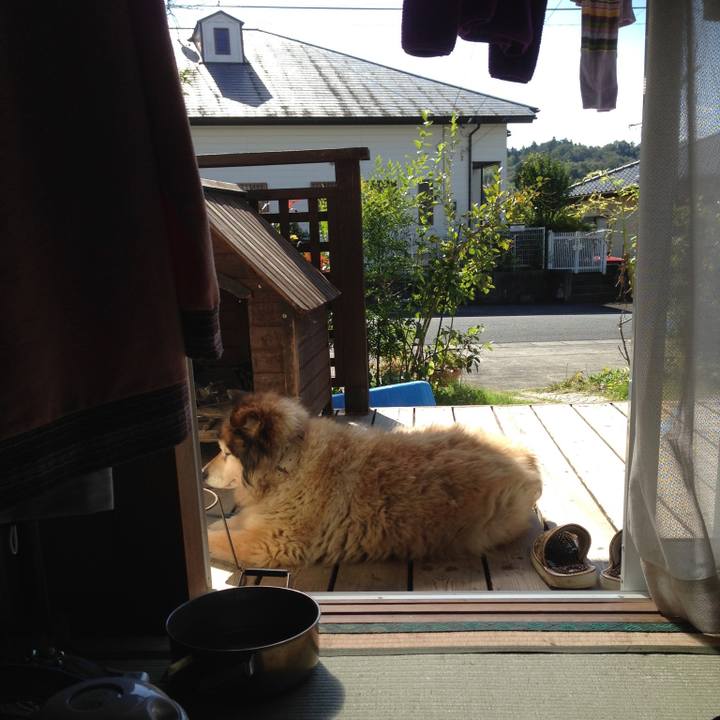 D802498f d81e 4e35 bd59 1b66b13dbc01 1572767489206