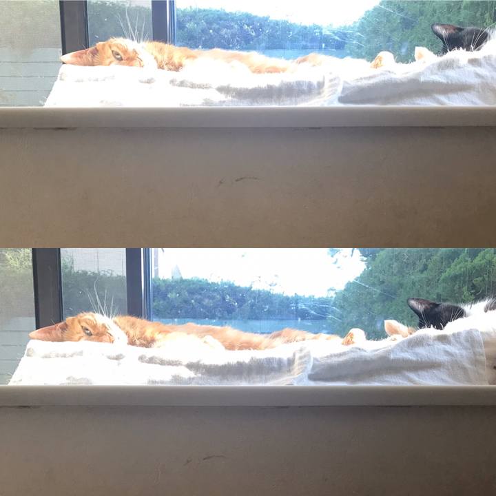 D802842b acbb 4ab5 b7a4 f1884de354e5 1570257079194