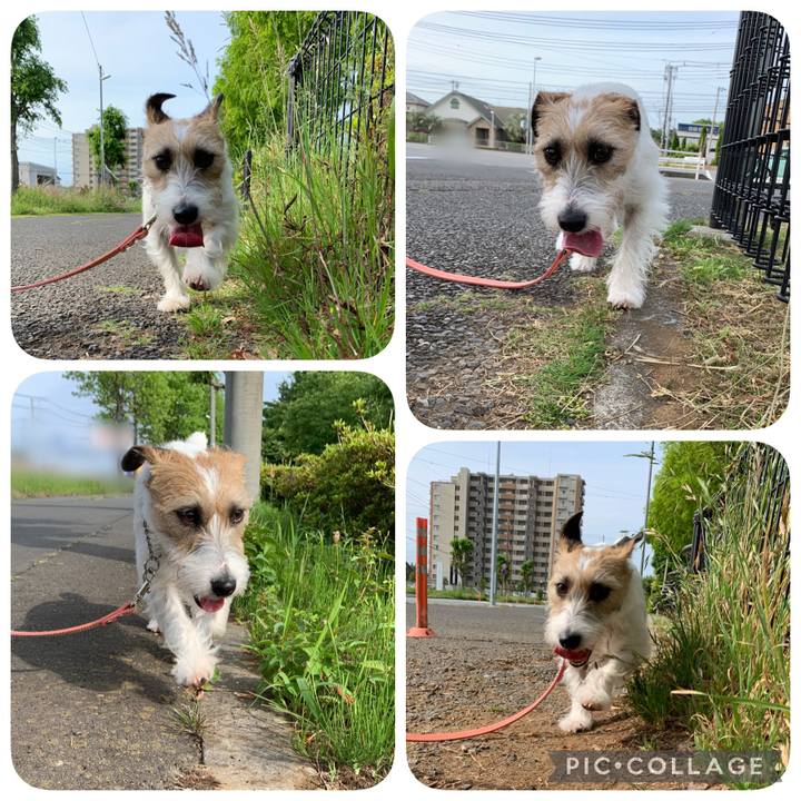 D802a461 3772 4631 8bb9 a18cd0de8300 1621080478238