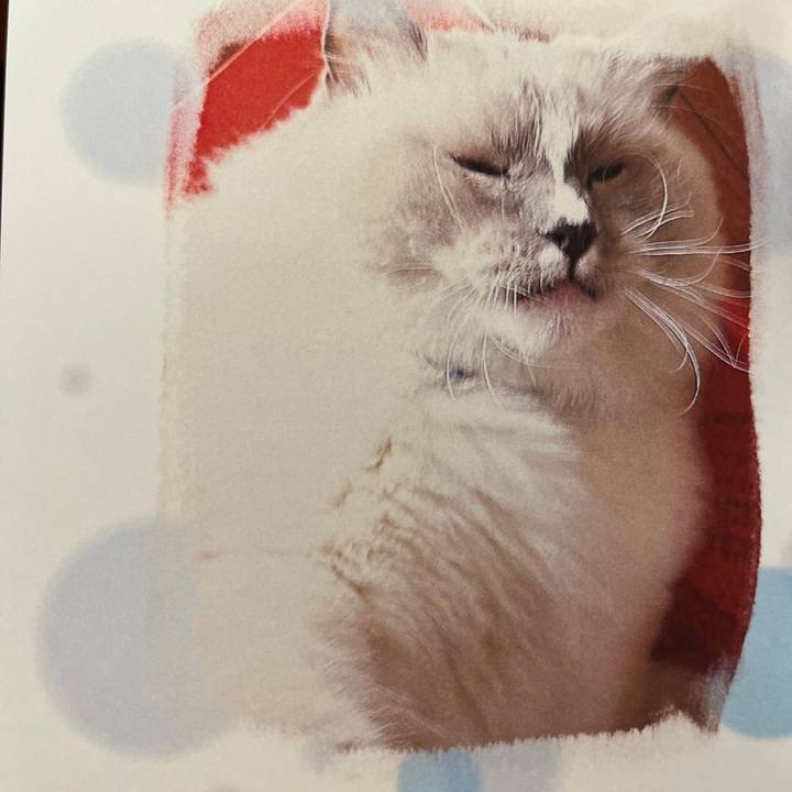 D802c016 2cc2 4b4a aa79 b4209e3f2940 1729925072656