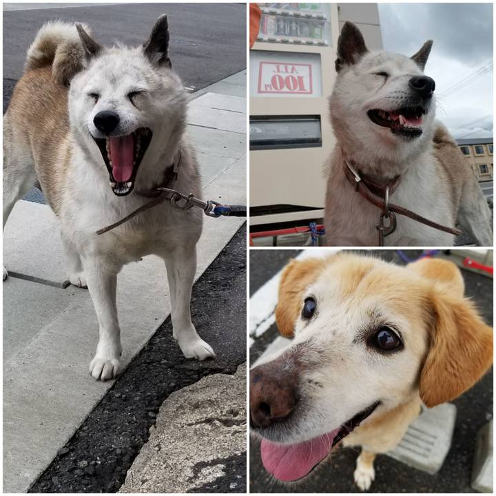 D802d01d 28c9 40f3 8cee a4fa114aec43 1755682129399