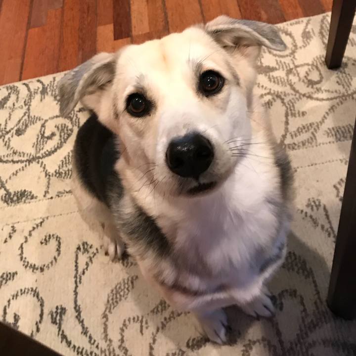 D802eff2 f232 4d8c ac43 75a6429de1ae 1521627552924