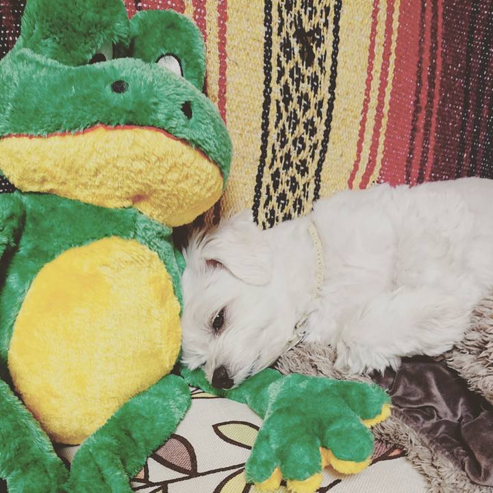 D8030493 d68b 4f5e a4b4 0d82a4f46e9e 1540205873459