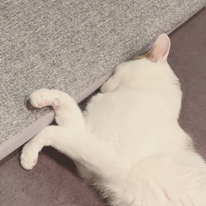 D8033fd8 867f 40f3 9ed6 0441260dc454 1580263257658