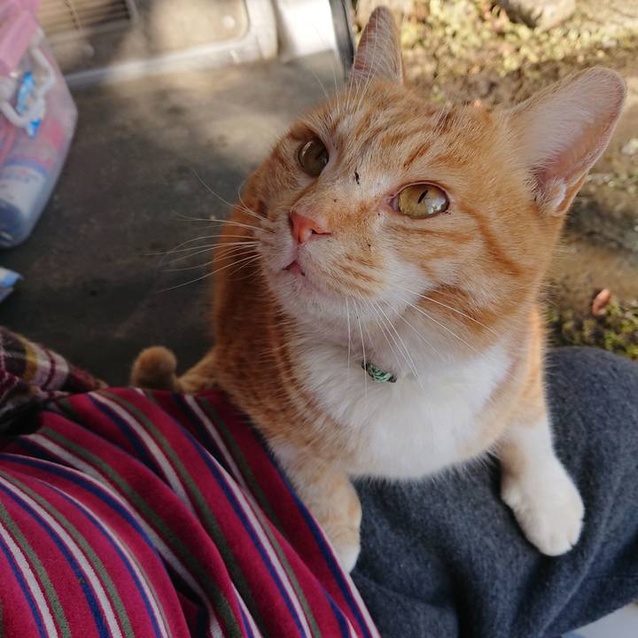 D80374f4 d7fb 4c14 bffd d970e67e922f 1579997870217