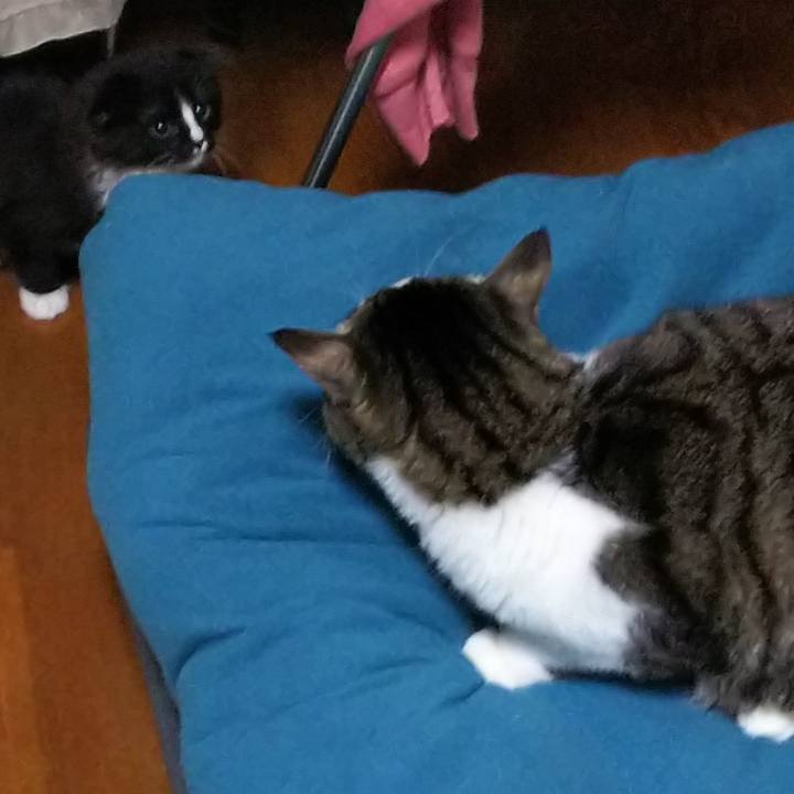 D803780c 7306 44a0 82ed c5196a7d188f 1638967256478