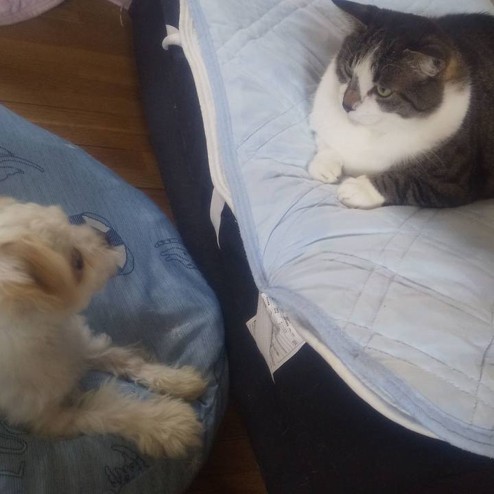 D8038573 46ef 46e9 baf2 39c00f5f6e3a 1687654357334