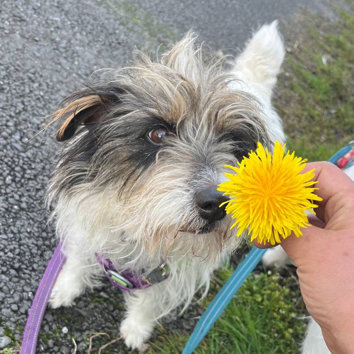 D80392ca 3038 4501 8951 da688021b4ce 1774787697499