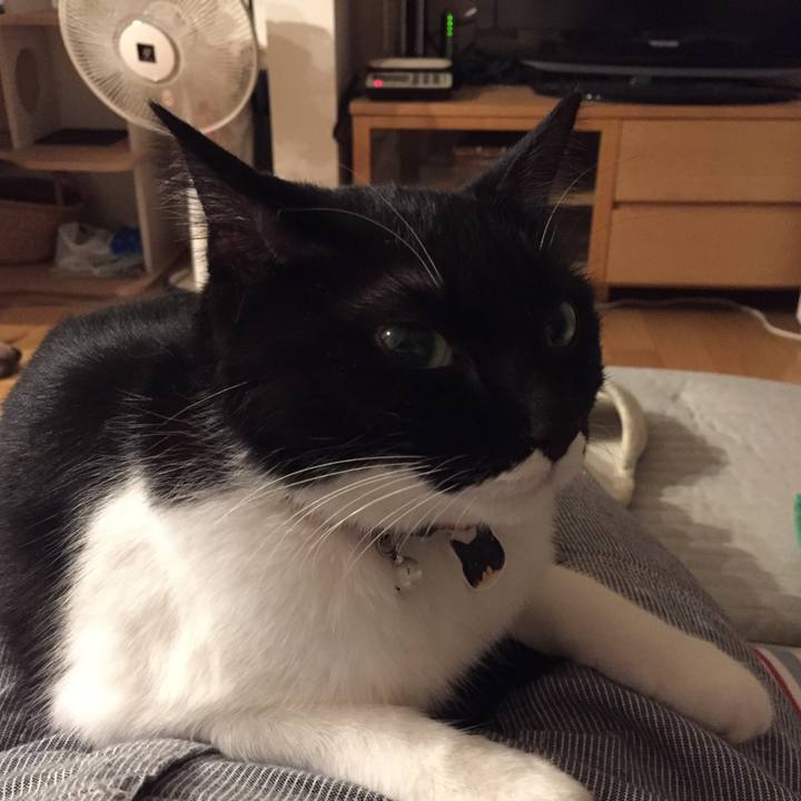 D803a082 d8ea 443e ba45 1f2a8b47a060 1537623876137