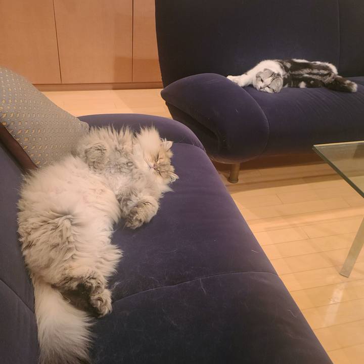 D803c9f5 389f 465f 9479 eddf76f6c41f 1679528220587