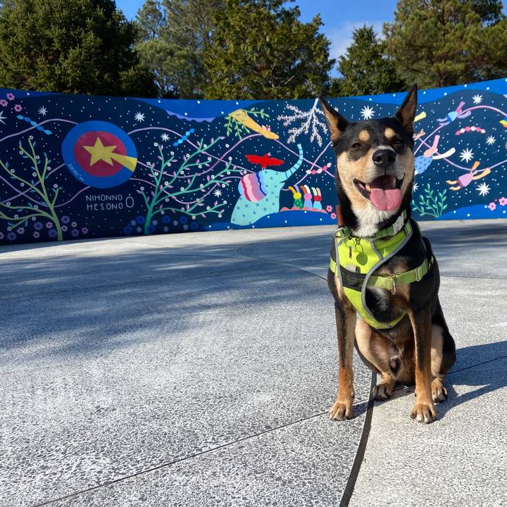 D803d0ea 4e56 49af 85f5 66f8fc2f18f7 1640259833157