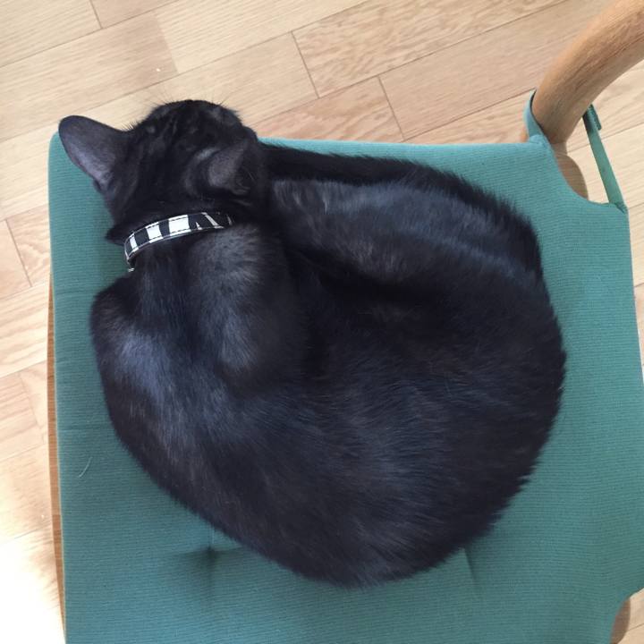 D8047572 9f0e 41f1 be7e df6ec2eef2dd 1537835869016