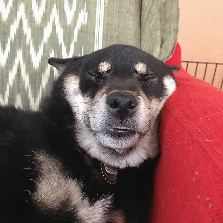 D8049fba 5c62 4723 8775 7e96f2c04f0a 1550590958728