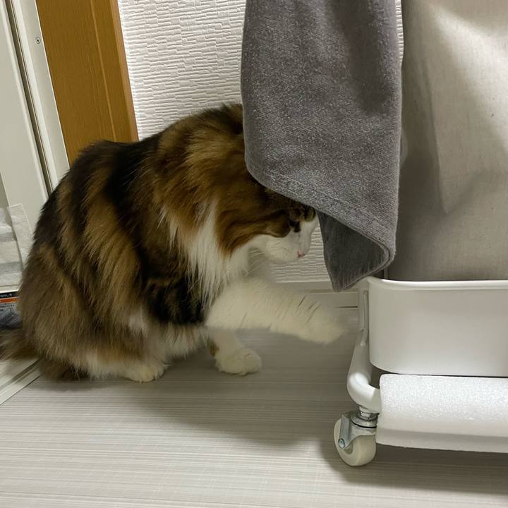 D804d628 bdcb 44e0 b44f 757b560db02c 1738011639026