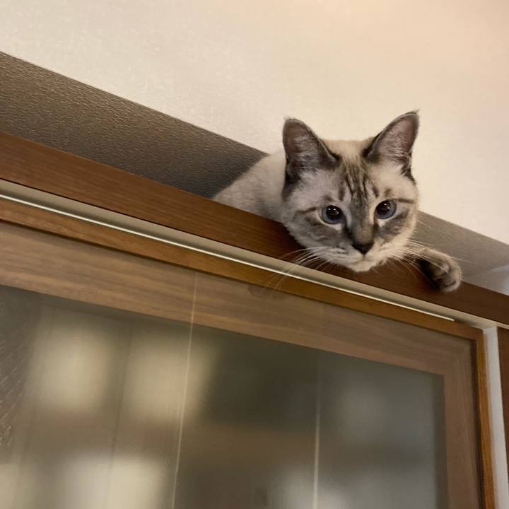 D804e813 8b42 4b3e 971f 474bf5d0469f 1630411411434