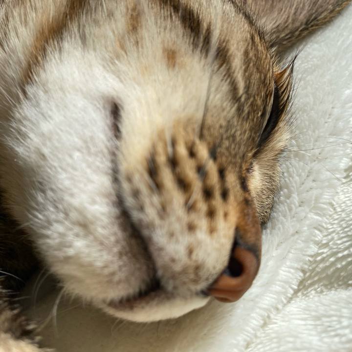 D8052d19 7abf 4ad9 9e90 93b2e88b9343 1679344423834