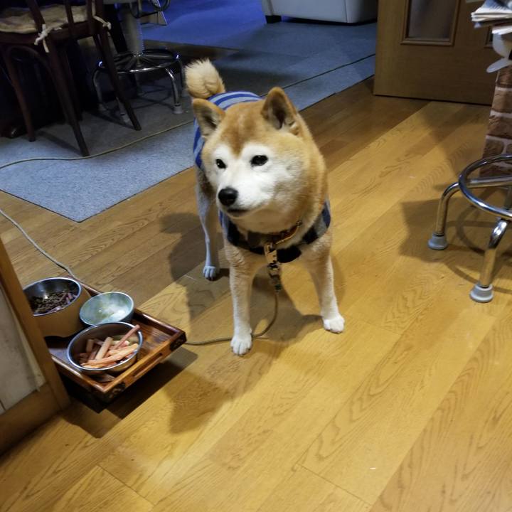 D805378c 8582 4f2e 82eb e121951109f1 1675419432673