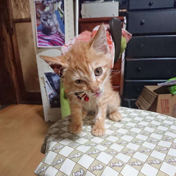 D8056ca7 1479 4a7c a43e 9241fbc190ed 1628156951164