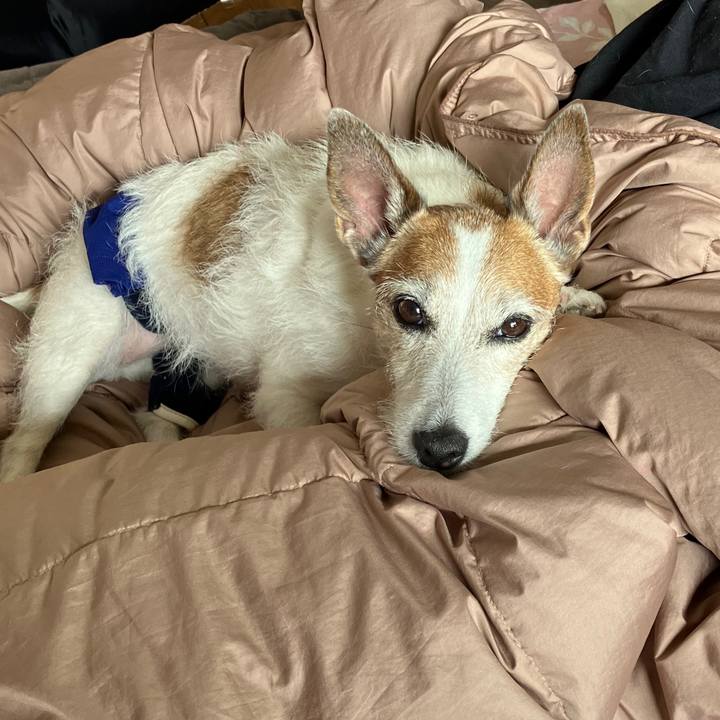 D8057a7b 53e5 4a1d a0bd 34e159f91961 1716684540812