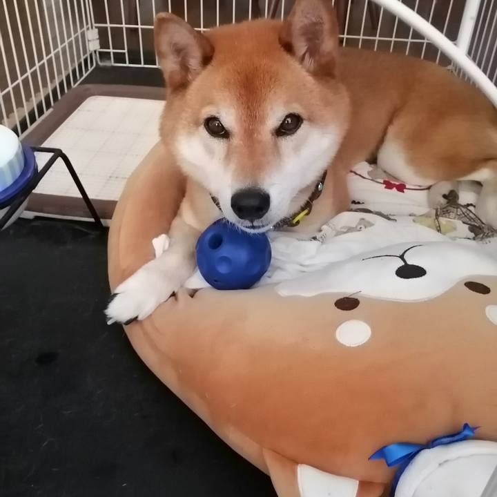 D8059454 4b90 48c1 bdbe 92b5aeec7d56 1655899551637