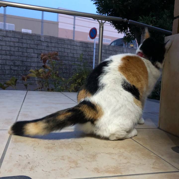 D805a2b7 3dcd 4548 8ac5 4e1e0d7d8fe2 1607465984527