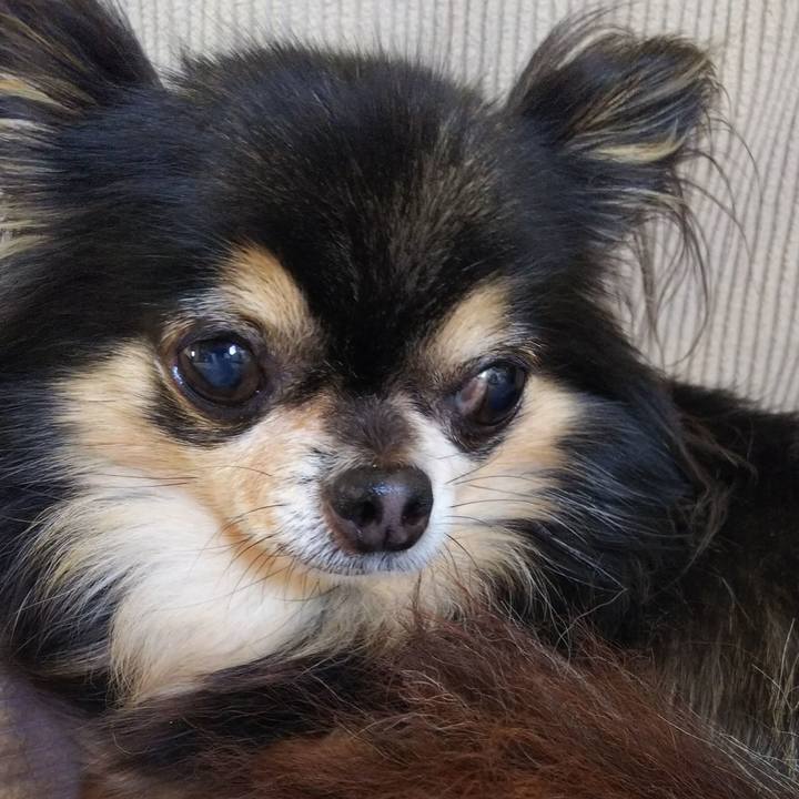 D805b6f8 27fc 4ae9 a1ab 9bde555b6e91 1525427362292