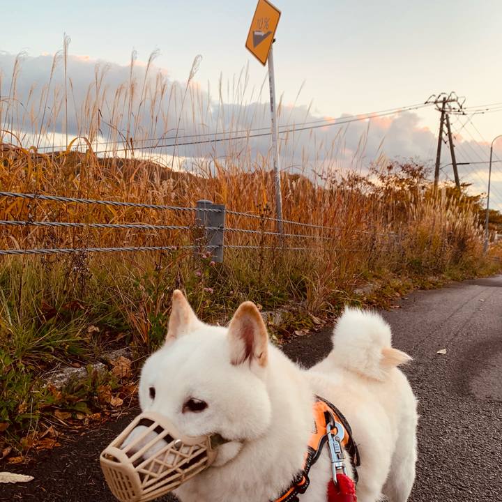 D805ee9c e1c4 4583 a304 dd6242e1cb1d 1667338596380