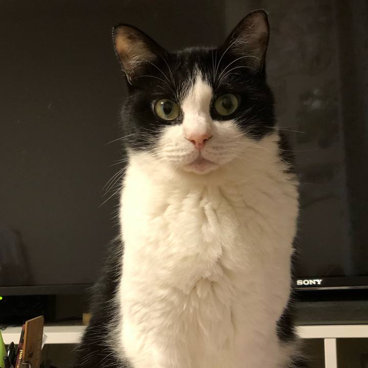 D805fb24 753b 4b23 b06c e68a43d6b468 1563269722639