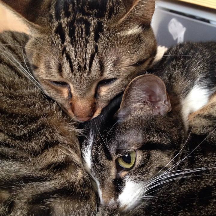 D80605f0 871e 4ebb 9f40 f073118e03d5 1513132364968