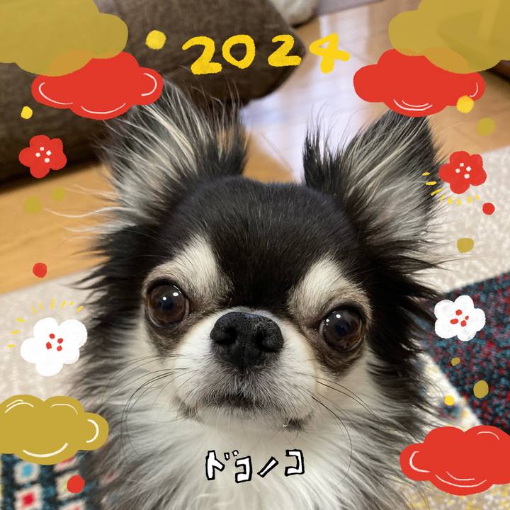 D80610e5 d37c 4658 b97b eeec04c47c91 1704151867079